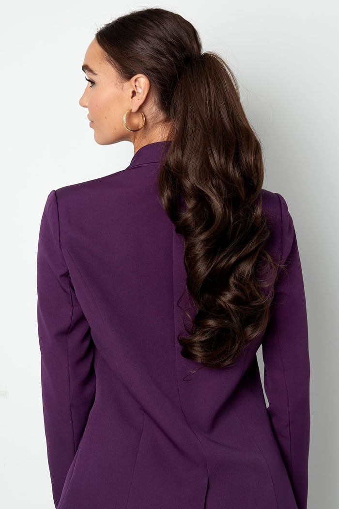 Ponytail glamor Picture4