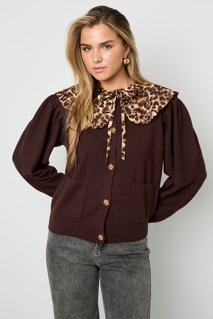 detachable collar Picture5