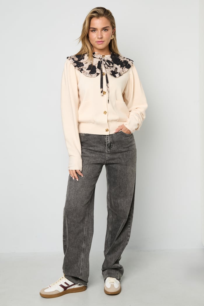 detachable collar Picture4