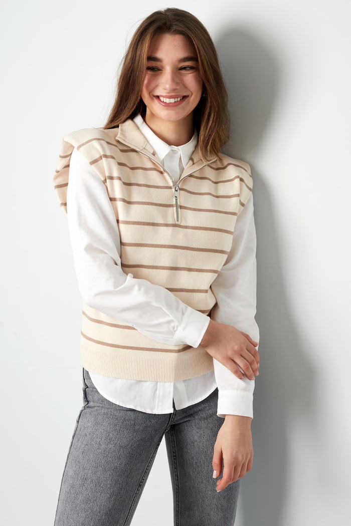 Spencer rigato con cerniera - beige marrone Immagine3