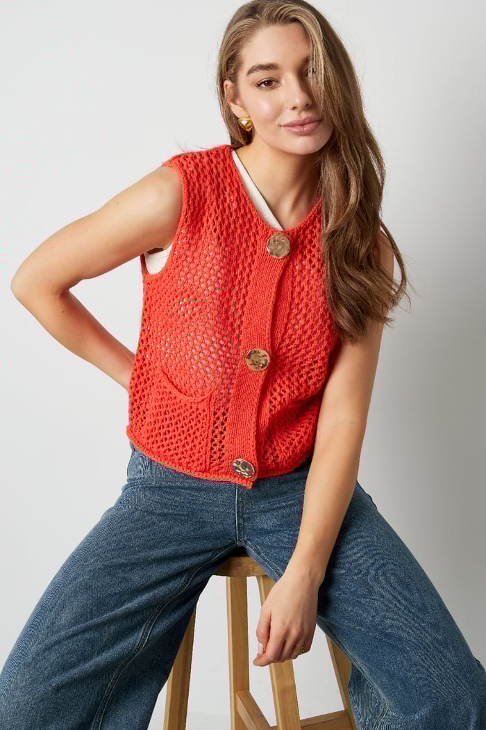Playful vest Picture2