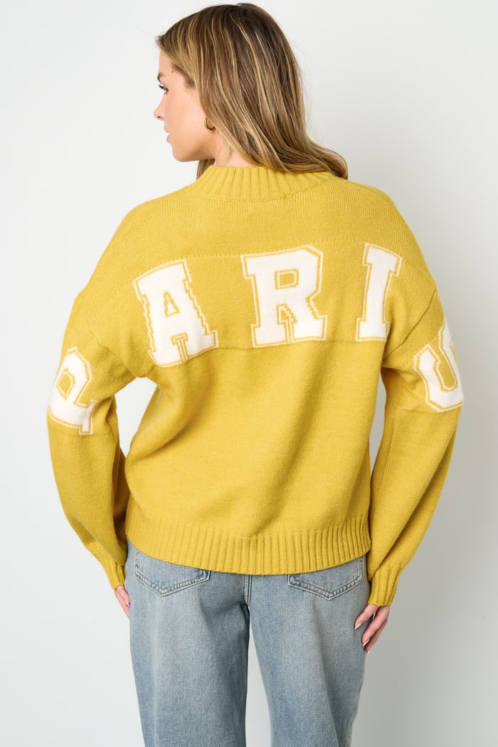 Paris sweater Picture11