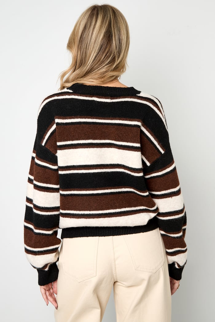 Maglioni in maglia di poliestere (poliestere) Righe Abbigliamento casual autunno/inverno Immagine11