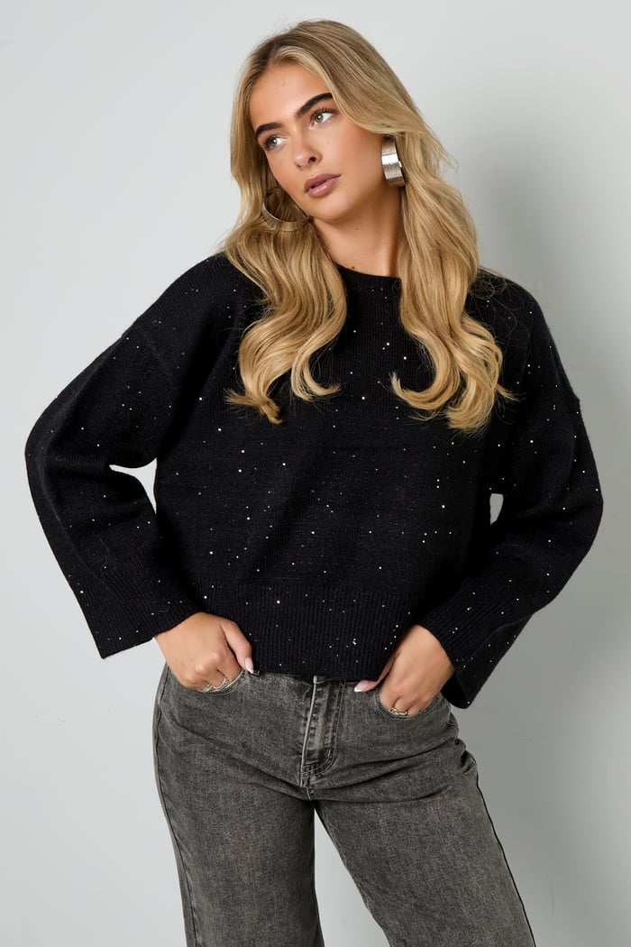 Sparkling Knit sweater Picture6