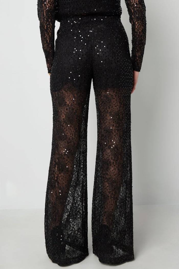 Lace pants with glitter h5Picture4