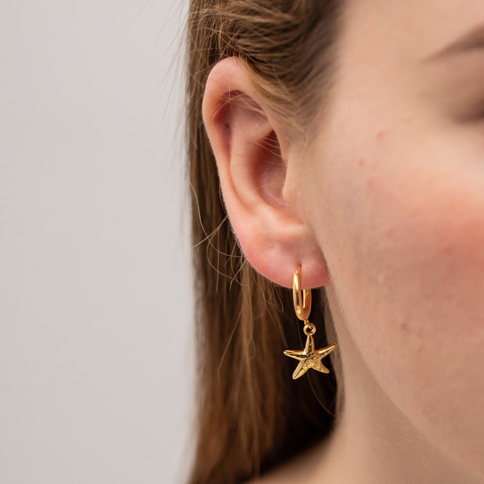 french retro  style  gold stainless steel starfish pendant earrings fashionable women's versatile titanium steel non-fading earrings h5Picture4