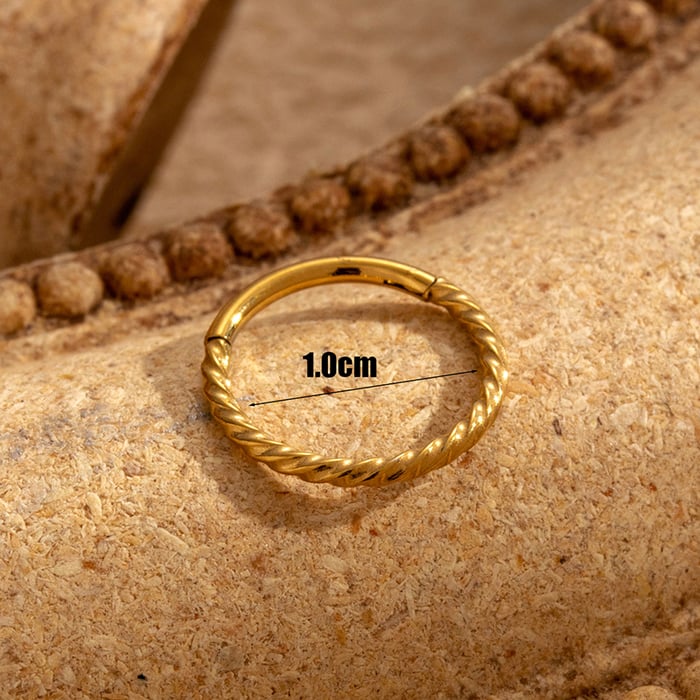 1 Piece Simple Series Simple Geometric Titanium Steel No Plating Material Women Hoop Earrings h5Picture6