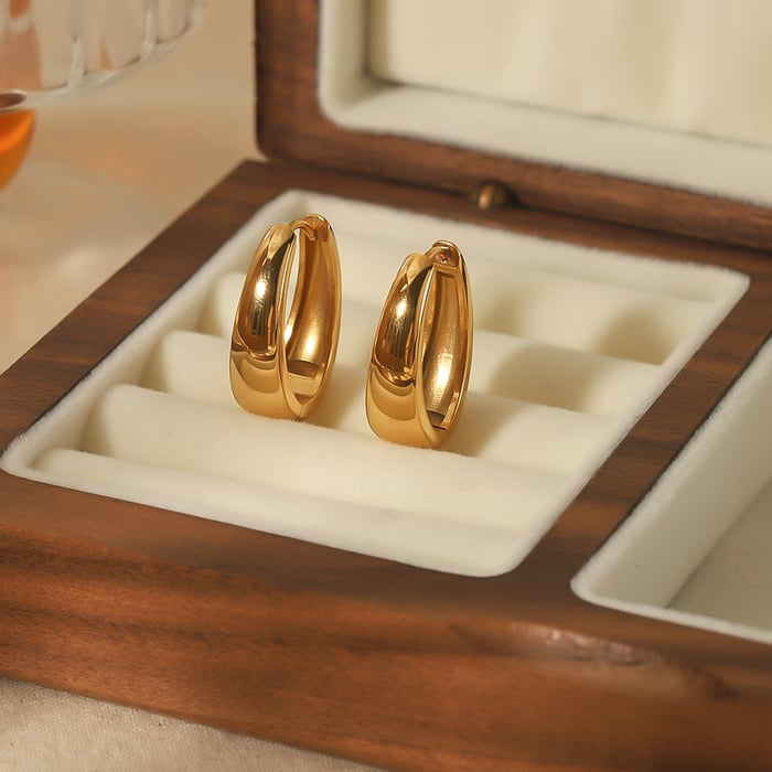 1 pair simple series casual geometric stainless steel  gold plated zircon women hoop earrings Picture3