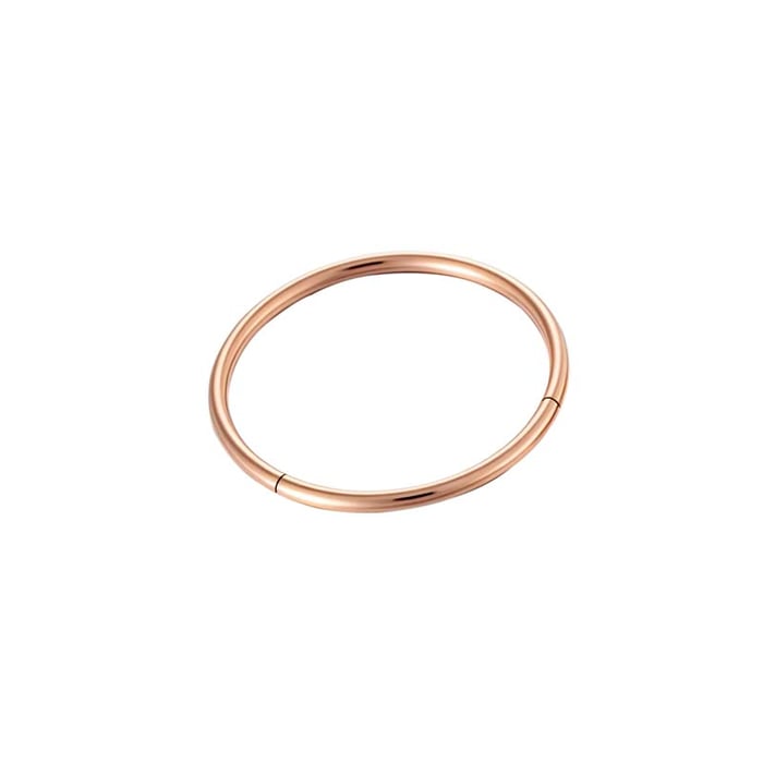 1 Piece Minimalist Stainless Steel Gold Color Women's Piercings Earrings