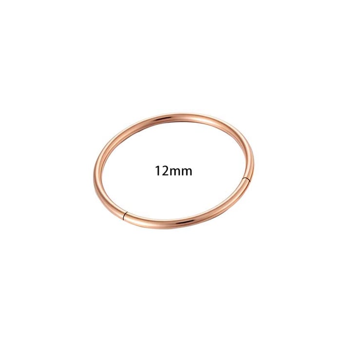 1 Piece Minimalist Stainless Steel Gold Color Women's Piercings Earrings h5Picture2