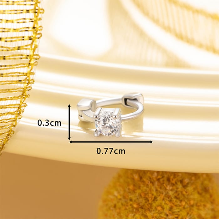 1 Piece Delicate Series Sweet Round Copper Zircon Women's Hoop Earrings h5Picture2