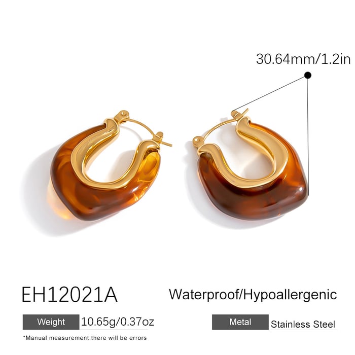 1 Pair Simple Daily Irregular Shape Stainless Steel  Women's Hoop Earrings h5Picture2