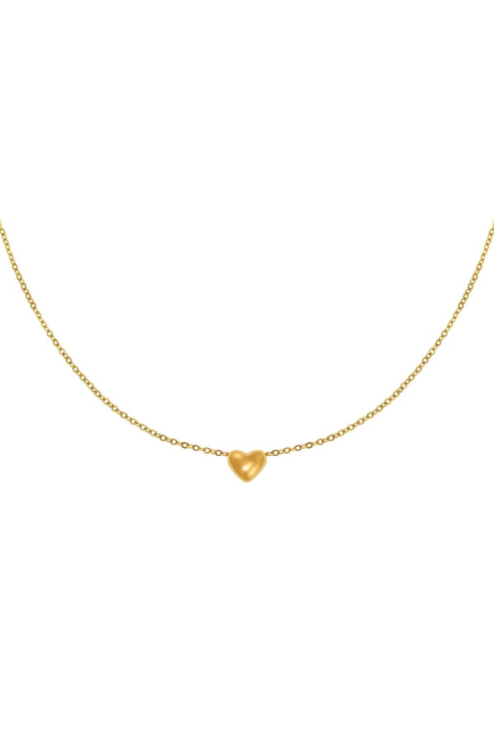 Necklace Always in my Heart Silver Color Stainless Steel