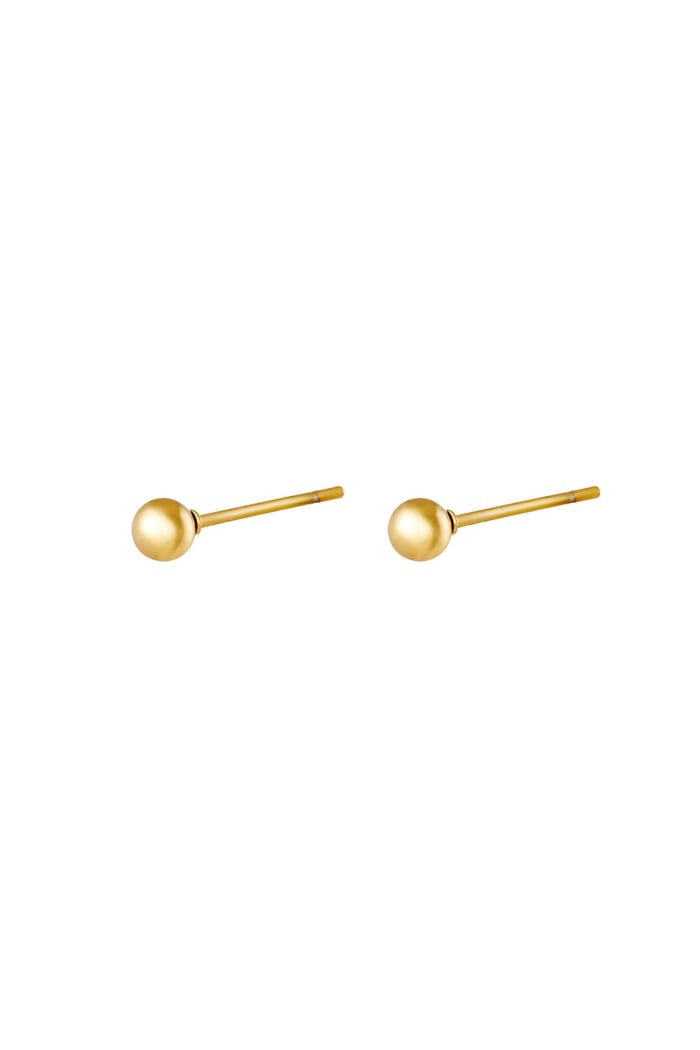 Earrings Midi Dot Silver Color Stainless Steel