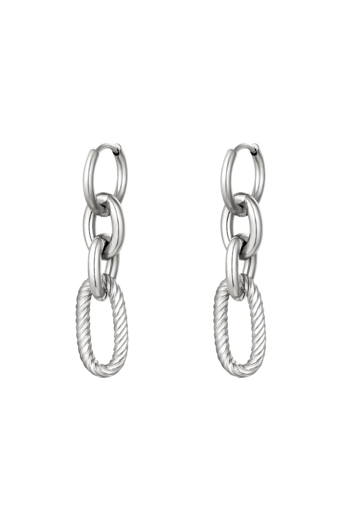 Boucles d'oreilles Spicy Argenté Acier inoxydable 
