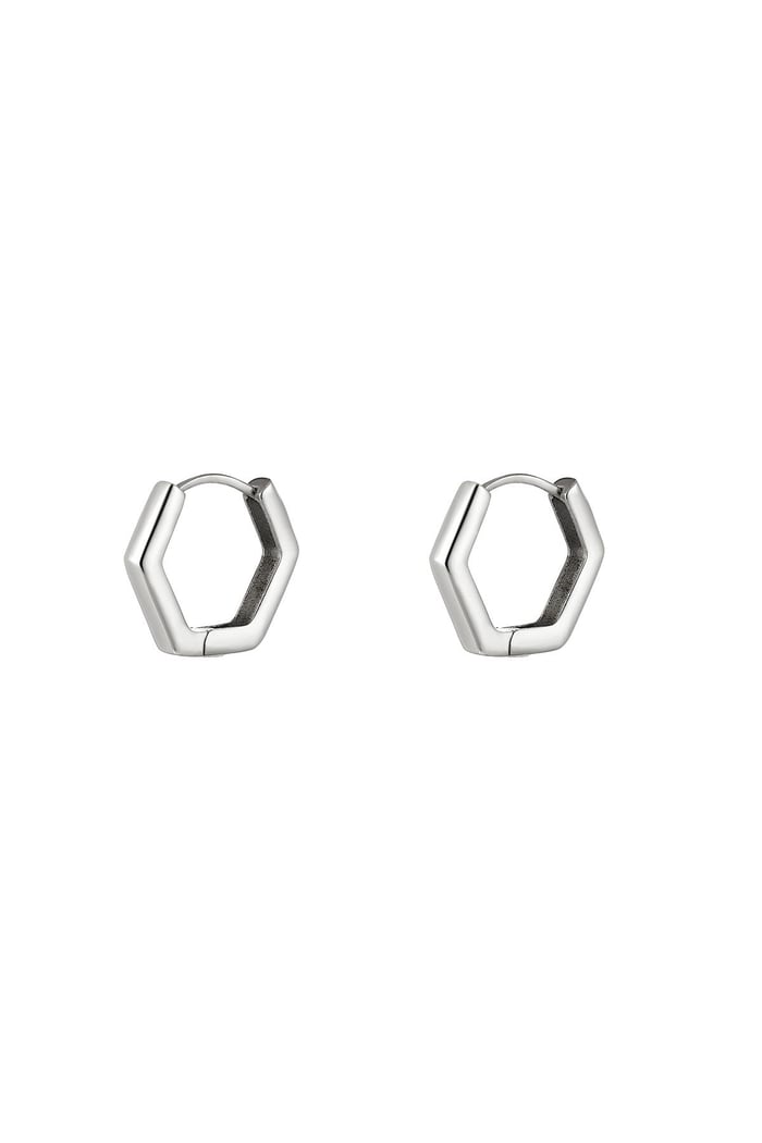 Ohrringe aus Edelstahl Silber