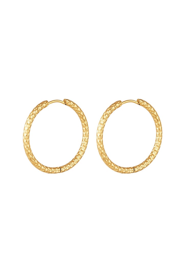 Orecchini con motivo grande Gold Stainless Steel