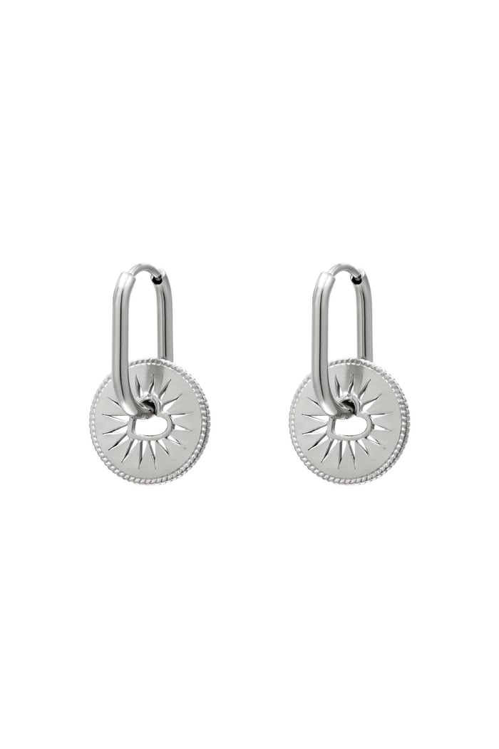 Orecchini in acciaio inossidabile con moneta cuore Gold Stainless Steel 