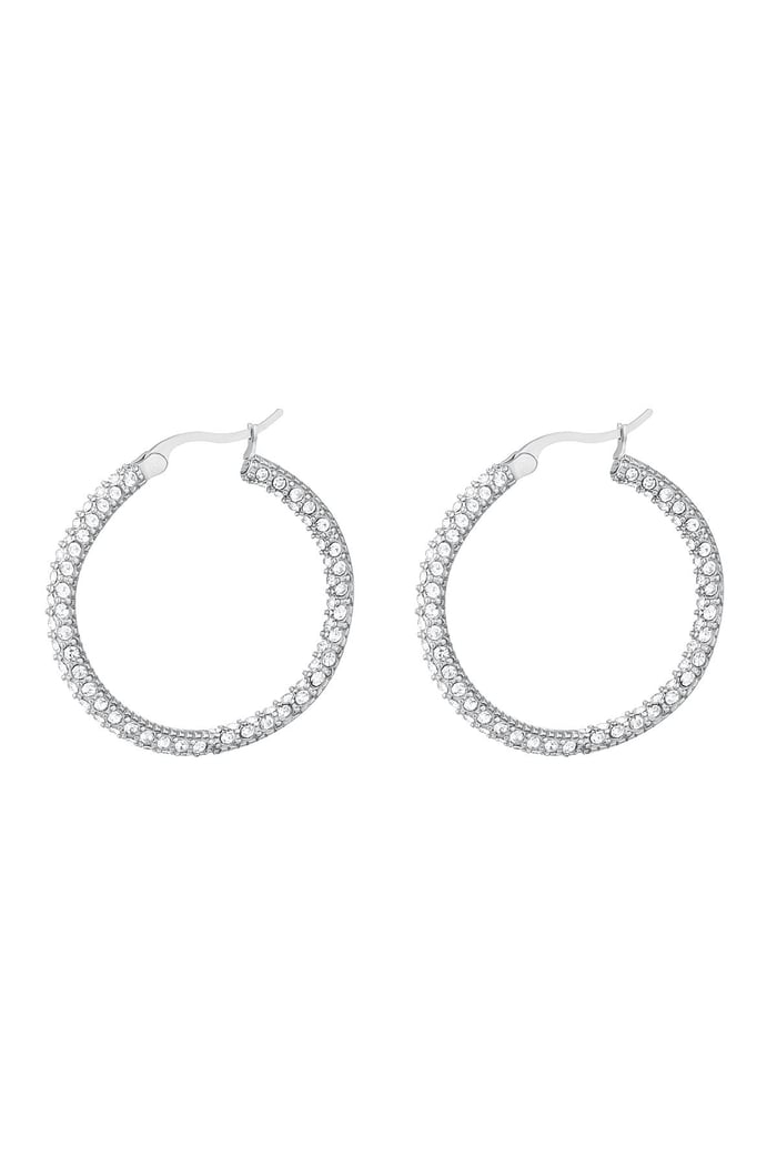 Orecchini tondi con zirconi - grandi Silver Color Stainless Steel