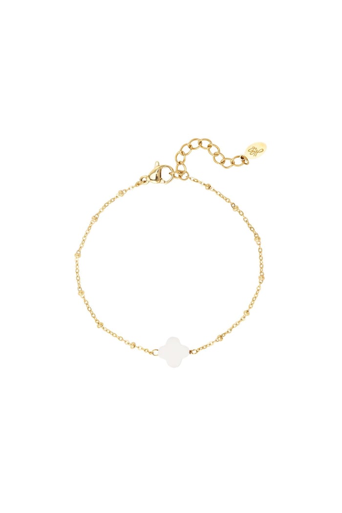 Bilezik deniz kabuğu yonca Gold Stainless Steel