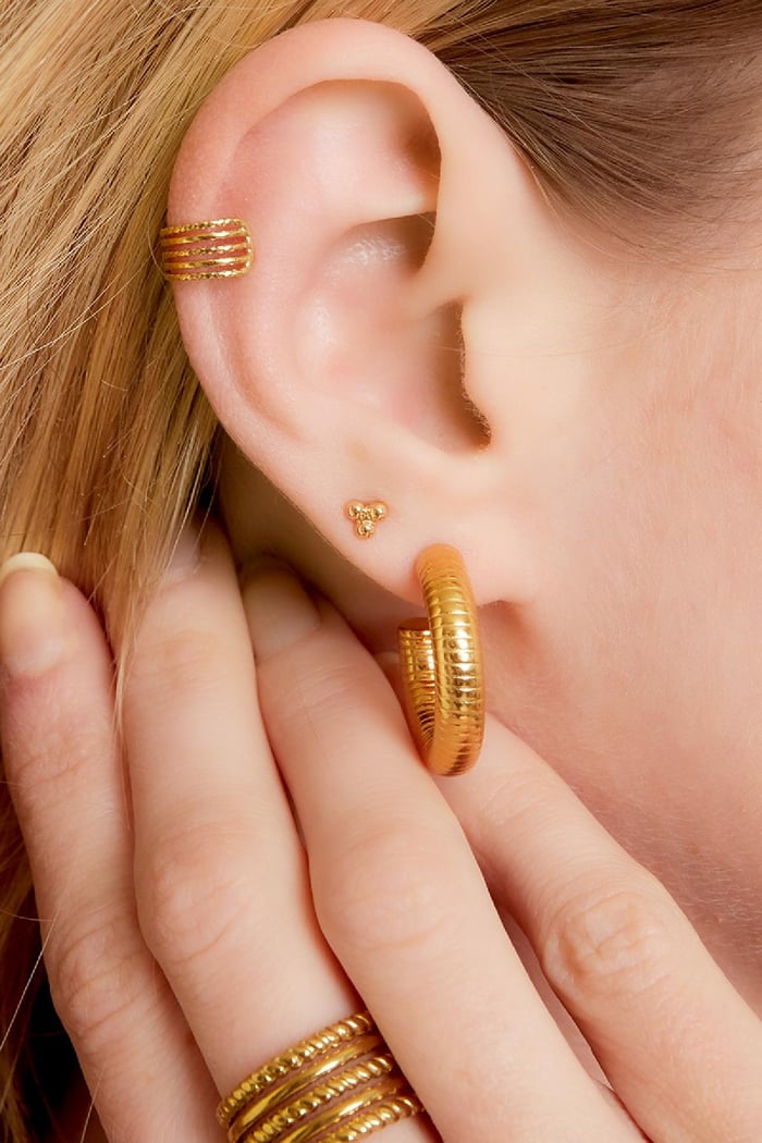 Earcuff van vijf afwisselende rijen Goud kleur Stainless Steel Afbeelding2