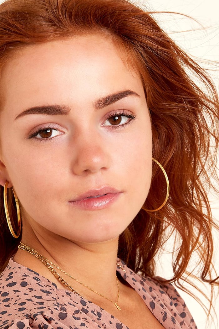 stainless steel hoop earrings  h5Picture2