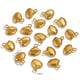 Glossy Shell-Gold Picture6