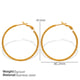 EH642 Large Gold Earrings Picture3