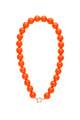 Orange Picture2