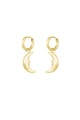 Gold color Picture2