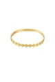 Gold color Picture2