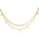 Gold color Picture2