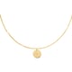 Gold color Picture10