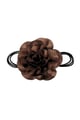 Brown Picture3