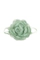 Green Picture3