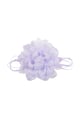 Lilac Picture2