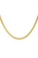Gold color Picture2