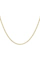 Goldfarbe Bild2