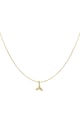 Gold color Picture2