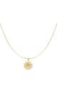 Goldfarbe Bild2