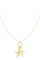 Gold color Picture2
