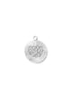 couleur argent 