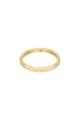 Goldfarbe/17 Bild4