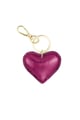 Fuchsie Bild3