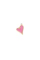 Rosa Bild2