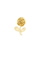 Gold color Picture2
