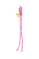 fuchsia Picture2