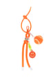 orange Picture2