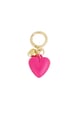 fuchsia Picture3