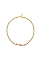Rosa Bild5